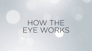 It has been our pleasure to serve patients in the greater rockbridge area for more than a decade. Eye Doctor In Lexington Gordon Eye Associates