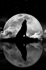 The latest additions to our range of lifestyle goods from some of our favourite designers. Wicklow Weather Wolf Moon Tonight Our First Full Moon Facebook