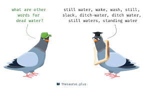 This includes tesco still water, aqua pura still water, buxton natural still water, and clearview still spring water. Terms Dead Water And Still Water Are Semantically Related Or Have Similar Meaning