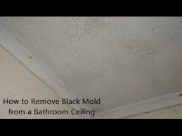 To stop black spots on bathroom ceiling. How To Remove Black Mold From A Bathroom Ceiling Youtube