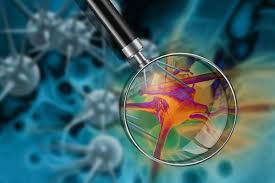 RÃ©sultats de recherche d'images pour Â«Â cancer vph localisationÂ Â»