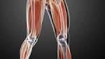  Decoded: What causes bone loss