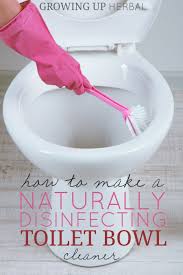 naturally disinfecting toilet bowl cleaner