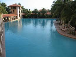 The Amazing Pool At The Biltmore Hotel Coral Gables Fl Coral Gables Coral Gables Florida Best Swimming