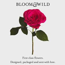 For 90 years they have enjoyed a reputation for excellence. Bloom And Wild Monthly Flower Subscription For A Year Uk Ayearssupplyof