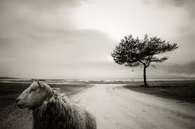 Art Of Composition In Photography Tips And Examples Composition Photography Perspective Photography Beautiful Sky