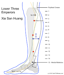 Catstcmnotes Com Lower Three Emperors Or Xia San Huang