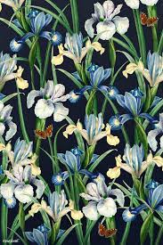 Download Premium Illustration Of Blooming Spanish Iris Flower Illustration Flower Illustration Iris Flowers Flower Drawing