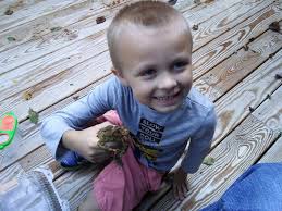 Backyard Naturalist: Toad psychology