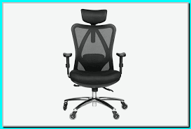 91 Reference Of Office Chair Lumbar Support Reddit Best Ergonomic Office Chair Best Ergonomic Chair Office Chair Lumbar Support