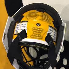 He's the first goalie in golden knights history to win the vezina. In Context Marc Andre Fleury S Stadium Series Mask Is Really Really Emotional Pensburgh