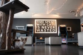 Our cat playroom is inspired by the home decor and life of ernest papa hemingway, one of papa's cat café is great place to gather with friends, family, colleagues, or a fun date night. The Catcade Chicago Cat Cafe Rescue And Lounge