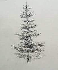 Pin On Sketch