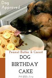 Dog Treats Kidney Disease Renal Dog Treat Freeze Dried Liver Doge Dogsoninstagram Dogtreats Dog Cake Recipes Dog Birthday Cake Recipe Dog Birthday Cake