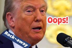 🚨REPEAT AFTER ME: The alleged shooter's asylum was vetted and approved by  the Trump/Vance regime! The Resistance