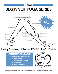 4 week beginner yoga series indigo