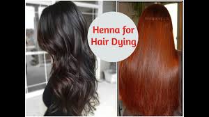 Henna has been used for thousands of years to stain fabrics, skin, and hair. Diy Henna Packs For Getting Different Hair Colours Deep Conditioning Sushmita S Diaries Youtube