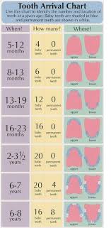 The abbreviations or short forms shown are the most common, but other abbreviations are possible, for. 23 Incredibly Helpful Charts For New Parents Baby Development New Baby Products Baby Teeth