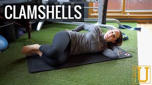 We did not find results for: How To Do The Clamshell Exercise Kinetic Sports Rehab Youtube