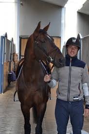 Gregory wathelet on wn network delivers the latest videos and editable pages for news & events, including entertainment, music, sports, science and more, sign up and share your playlists. Gregory Wathelet Et Ironman Van De Padenborre Sublime A Liege Equnews Belgique France