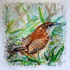 Hilmi Simsek Watercolour Painting Gallery Art Wildlife Artists Nature Art