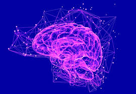 Dmt is a psychedelic drug. The Science Of Dmt In The Brain The Beckley Foundation