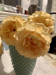 We did not find results for: Miracle Gro For Fresh Cut Flowers Flower Food Miracle Gro