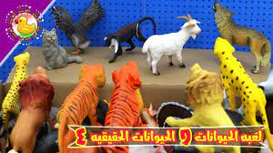 دانلود آهنگ جدید کیوان تارس کی برمیگردی (mp3 اصلی) + متن. Ù…Ø³Ø¬Ø¯ Ø§ØºÙ„Ù‚ Ù…Ø±Ø§Ù‡Ù‚ Ø­ÙŠÙˆØ§Ù†Ø§Øª Ø§Ø·ÙØ§Ù„ Ø§Ù„Ø¹Ø§Ø¨ Deryamaksanltd Com