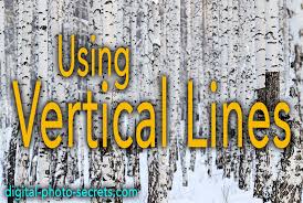 Using Vertical Lines In Your Photography Digital Photo Secrets
