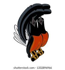 Oct 30, 2020 · 45 gambar logo murai batu terbaru koleksi gambar logo from pngimage.net her gün binlerce yeni, yüksek kaliteli fotoğraf ekleniyor. Love Bird Muray Batu Stock Vector Royalty Free 1332896966