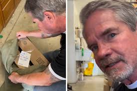 Mann bringt Karton ins Katzenrettungszentrum: Als ein Tierschützer die  Kiste öffnet, stockt ihm der Atem