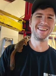 discussion Riley Alessandra @rileyalessandra Date a gamer guy. ain't  cheating whining, he's sitting his the couch being virtual cowboy and  riding around