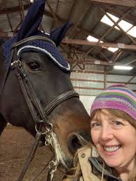 What feed is best for horses with lyme?