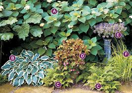 However, if the trees are just casting a shadow on your garden, that shouldn't really be much of a problem. 2 Shade Garden Combos For Hosta Lovers Garden Gate