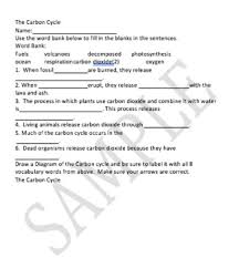 When plants and animals die, they decay (decompose, break down) in the soil. Carbon Cycle Worksheet By Carol S Creations Teachers Pay Teachers
