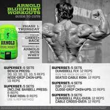 14 Best Arnold Workout Plan Images Arnold Workout Workout