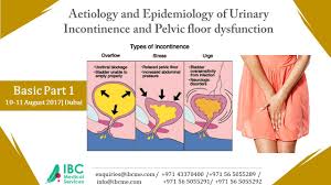 Urogynaecology Topics Aetiology And Epidemiology Of Urinary Incontinence And Pelvic Floor Dysfuncti Pelvic Floor Dysfunction Pelvic Floor Urinary Incontinence