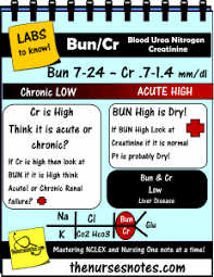 The Nurses Notes Nursing Labs Nursing Notes Nursing Mnemonics