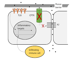 role of ion channels in gastrointestinal cancer