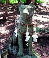 狼 8 飛騨高山のオオカミ 魔法少女 神獣 オオカミ