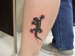 An everlasting sign, the enduring gecko continues to adorn the surfaces of various mediums over. Tato