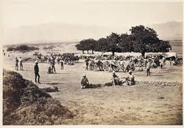 The Afghan War, Attogk to Jellalabad, Gandamak and Surkhab | Science Museum Group Collection