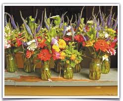 In Living Color: Steven Tapper's photographs celebrate what's right with  the world.