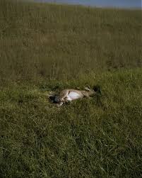 The photographer documenting Missouri's changing landscape