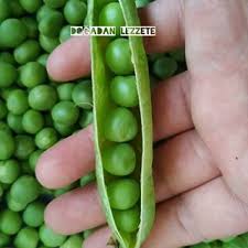 Benim Dunyam My World Panosundaki Pin