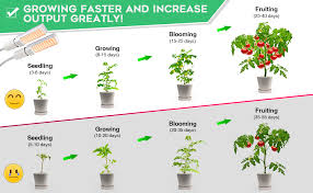 After killing plants for too many years, i started the bloom and grow radio podcast, where i interview experts in plant care, and learn alongside listeners just like you. Amazon Com 45w Plant Light Bozily Dual Head Gooseneck Grow Lamp Led Plant Grow Lights For Indoor Plants Full Spectrum Artificial Sunlike Clip On Grow Light With 4 Dimmable For Plants From Seeding