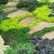 Grass Alternatives For Dogs