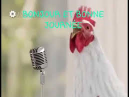 Bonjour Et Bonne Journee Youtube Chicken Song Happy New Year Song Rooster