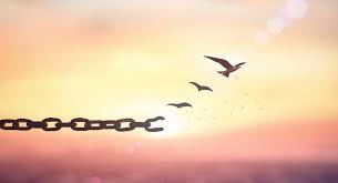 Brain cells that suppress drug cravings may be the secret to better  addiction medicines