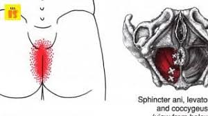 Pin On Pain Relief